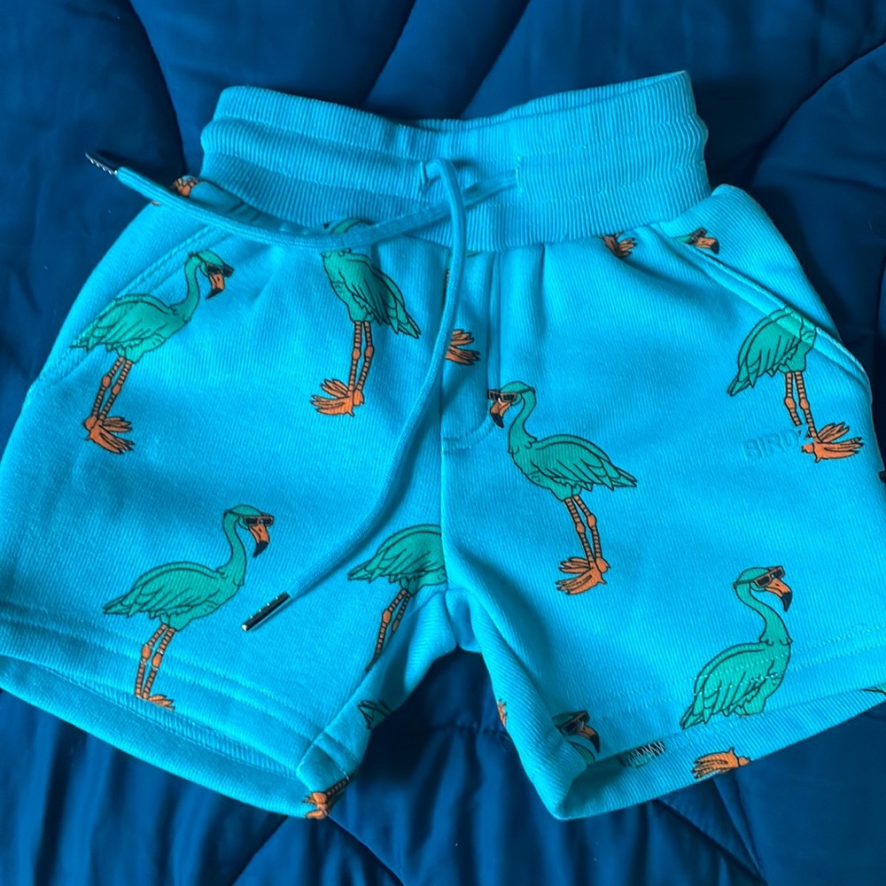 3/$20! NWT BIRDZ toddler boy size 2 flamingo shorts! Palm tree fun!